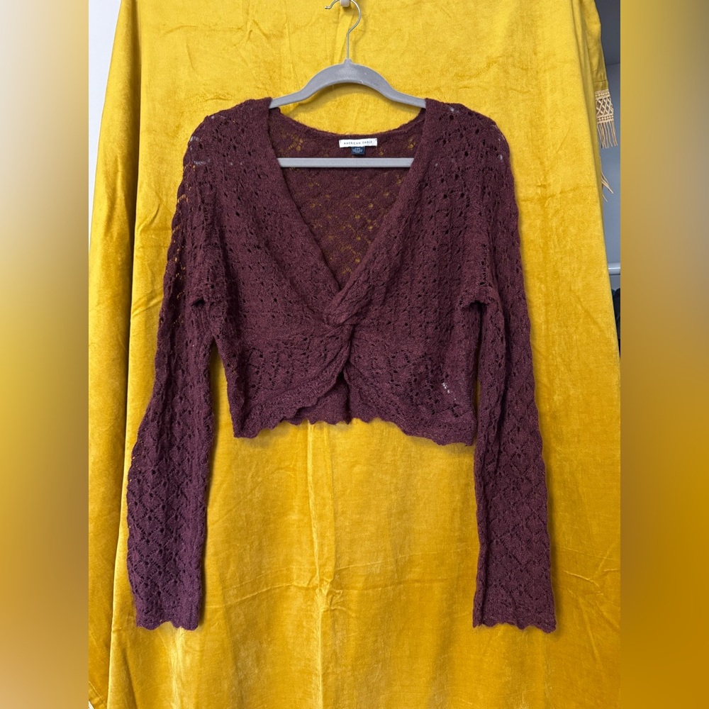 American Eagle Outfitters Maroon Knit Crop Top